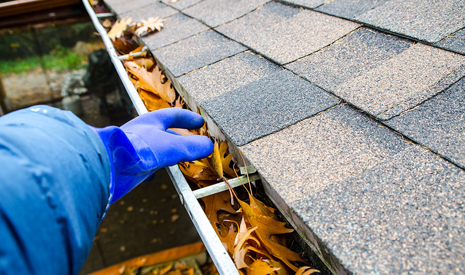 Gutter and debris removal improving roof drainage in Sydney