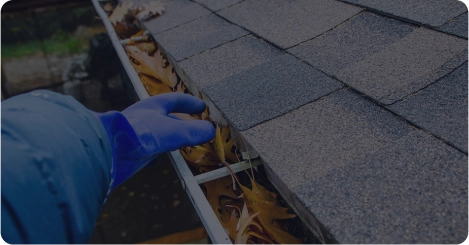 Gutter Cleaning